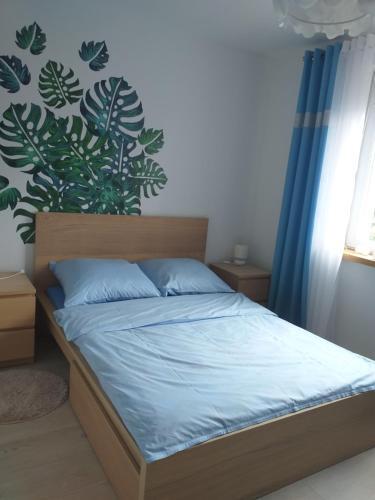 Apartament Nr 19