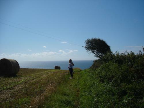 Bed & Breakfast Rame Barton