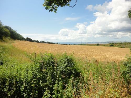 Bed & Breakfast Rame Barton