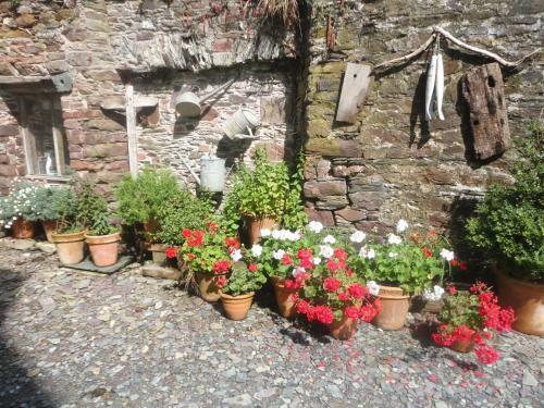 Bed & Breakfast Rame Barton