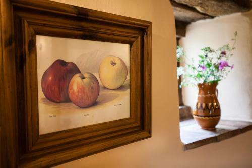 Highdown Farm Holiday Cottages