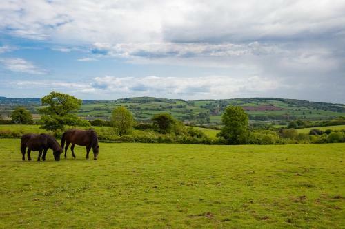 Highdown Farm Holiday Cottages