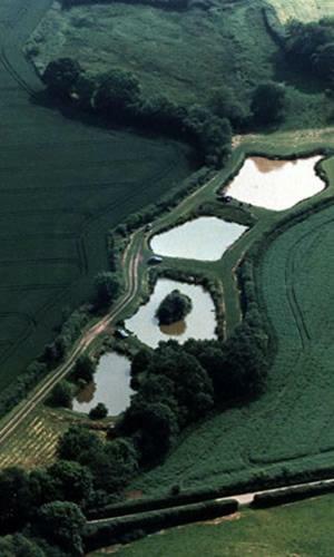 Bed & Breakfast Newcourt Barton