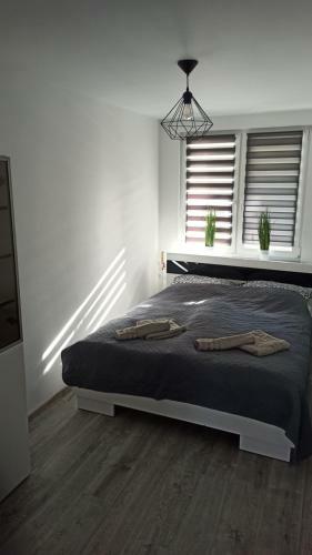 Apartament Zdrojowy