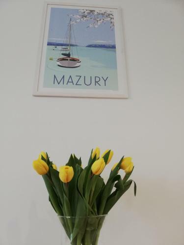 Apartament, Port, Pla?a I Ty