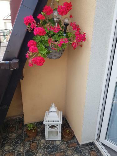 Apartament Kolor�w