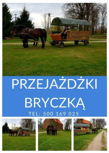Apartament Kolor�w