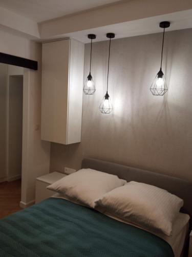 Apartament Gruba Ryba 3