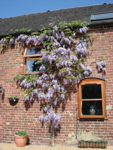 Agroturismo Highfields Farm B&B