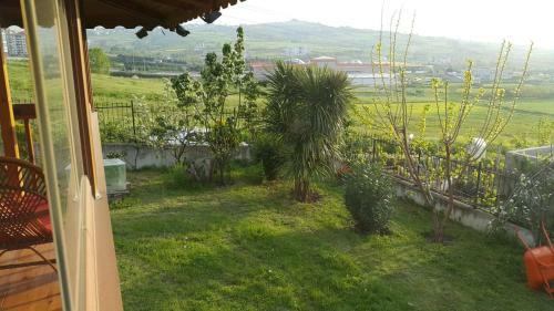 Zali Apart