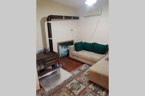 Villa Sapanca G�l�ne S?f?r M�stakil Bah�eli Ev