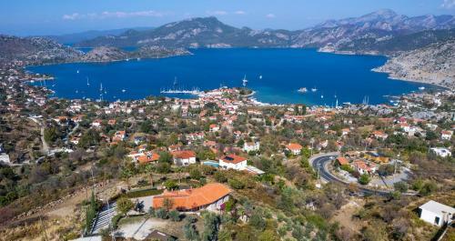 Apartamento Massi Villa