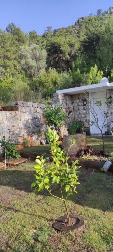 Stone House