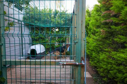 Villa Diva Icmeler Daily Weekly Rentals