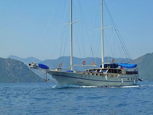 Segmen Gulet