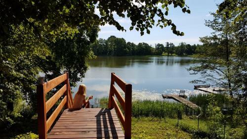 Lodge Urocza Przystan
