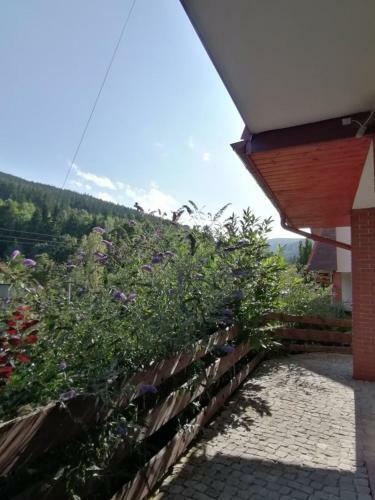 Apartament Boho Dom Kletno