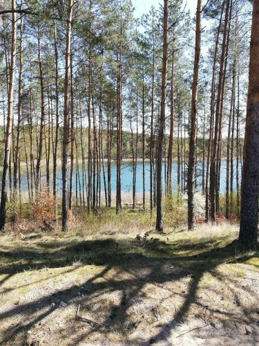 Agroturismo Le?ny Dworek - Pokoje Nad Jeziorem