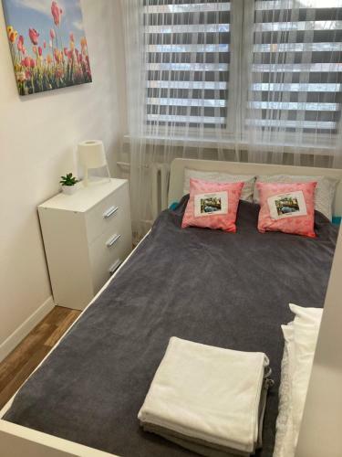 Mi?towy Zak?tek Apartment