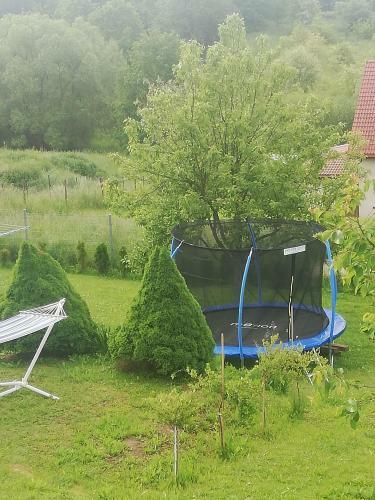 Apartament Bukowy