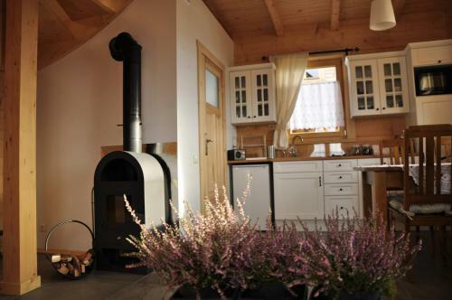 Lodge Domki Widok�wka
