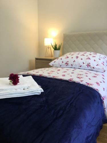 Elegant Apartment Astronaut�w Centrum Z Parkingiem