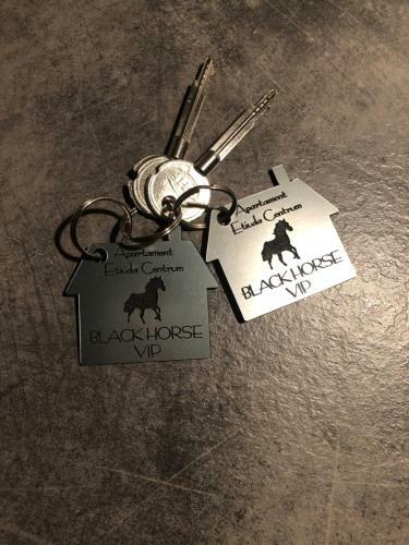 Vip1 Apartments Etiuda Becher -centrum Deptak - Black Horse