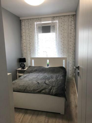 Apartament Shadow Grey
