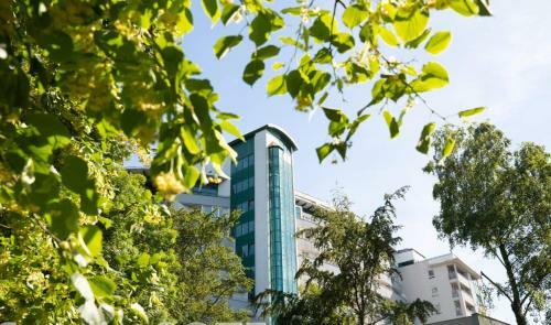 Apartament Papillon