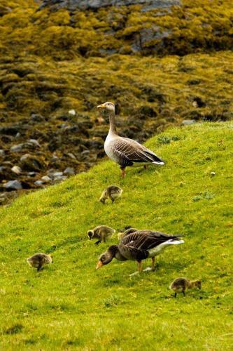 Lochinver Holiday Lodges & Cottages