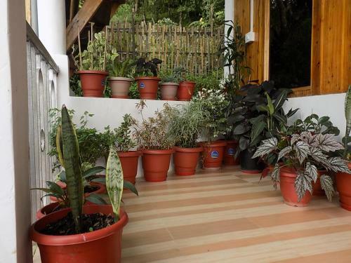 Yuma Homestay Inn