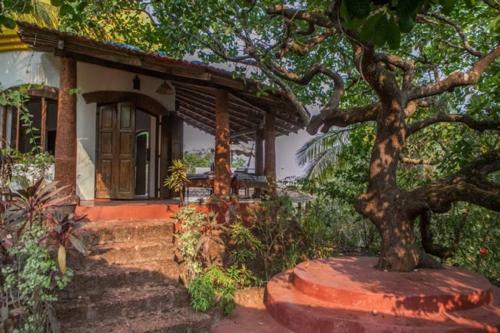 Hostal The Temple Jungle House