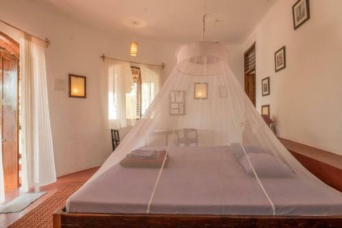 Hostal The Temple Jungle House