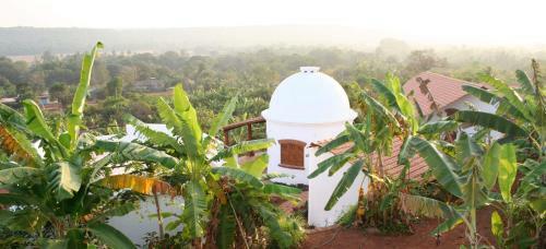 Hostal The Temple Jungle House