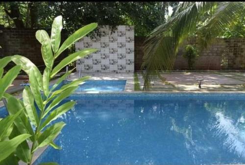 Apartamento Homeatgoa