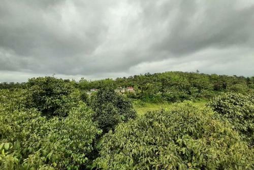 Prakruthi Paradise