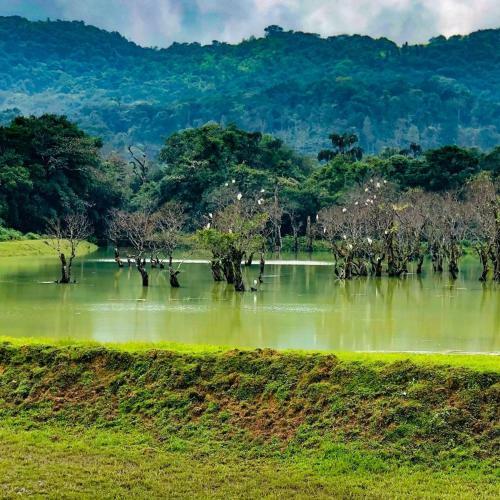 Hostal Riverside - Hidden Valley