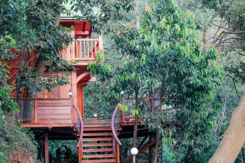 Villa Forestvalley Tree House