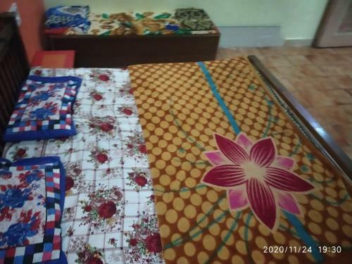 Hostal Swami Cottage