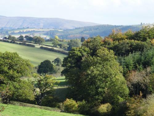 Bed & Breakfast Middle Woodbatch Farm