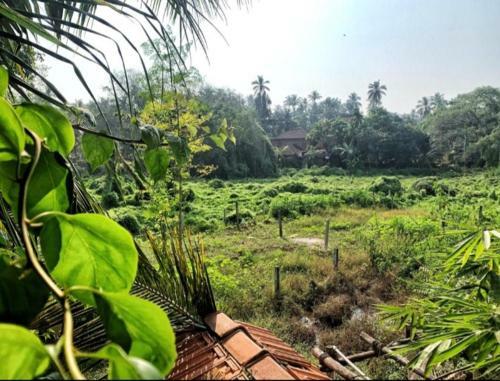The Tiny House Goa