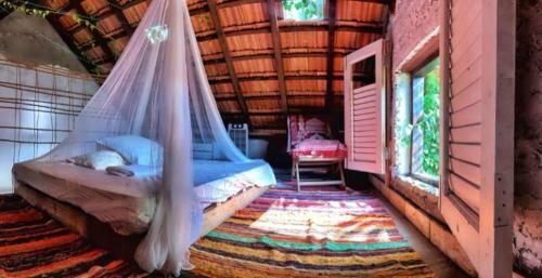 The Tiny House Goa