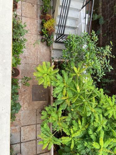 Hostal Sunshine Villa Apartments - Candolim