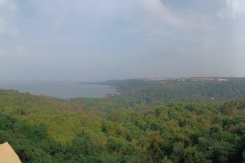 Rio De Goa, Pool View Studio Apartment