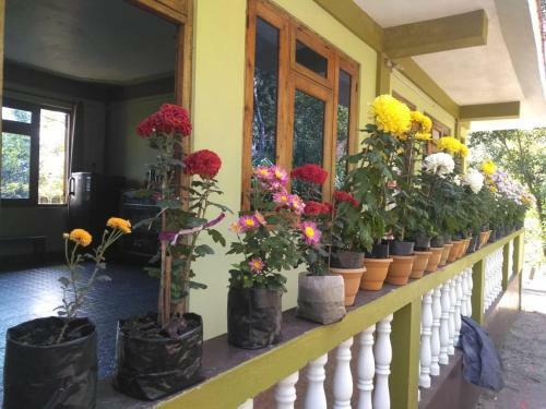Sai Farmstay