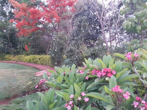 Hostal Kamat Riviera