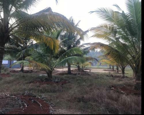 River View Farm