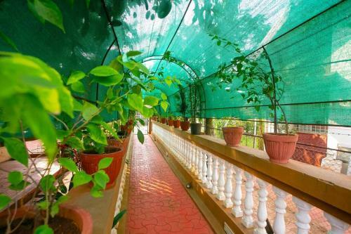 Apartamento Mamtas 2 Bhk With Pool By Limestays