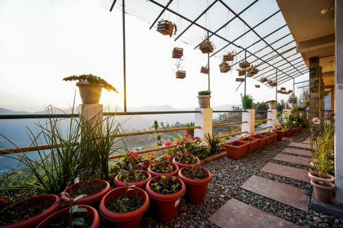 The Wayfarers Cottage, 3bhk With Breathtaking Mountain View