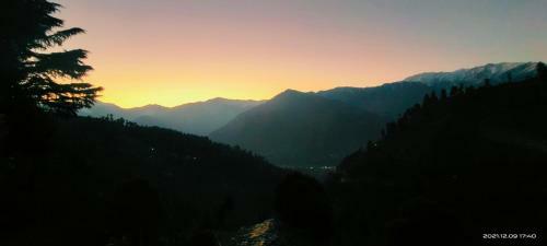 Up And Peace Naggar